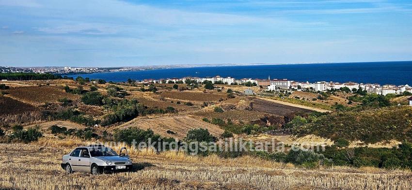 Для Продажи Сюжет в Topağaç Süleymanpaşa Altınova - Под Вилла застройку - 1.150 m²