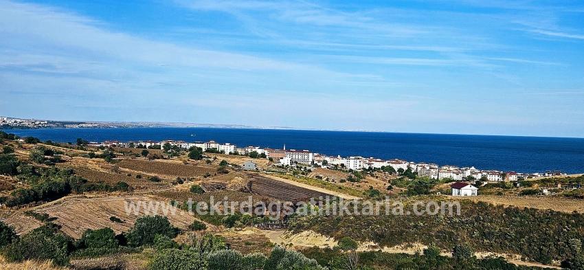 Для Продажи Сюжет в Topağaç Süleymanpaşa Altınova - Под Вилла застройку - 1.150 m²