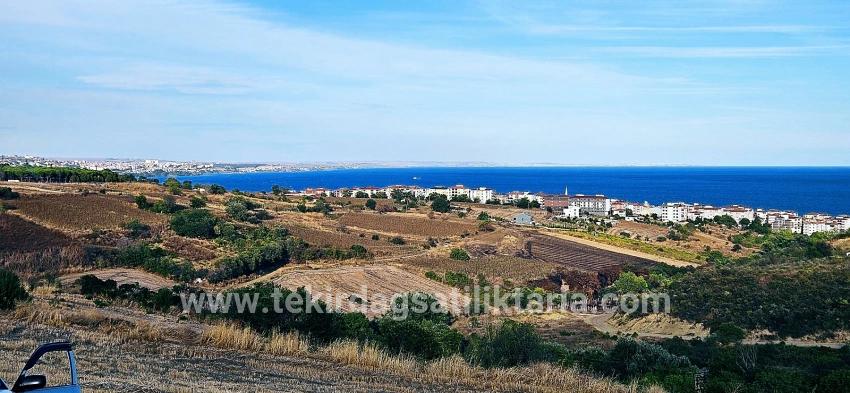 Для Продажи Сюжет в Topağaç Süleymanpaşa Altınova - Под Вилла застройку - 1.150 m²