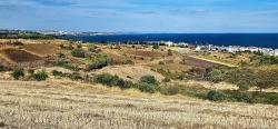 Для Продажи Сюжет в Topağaç Süleymanpaşa Altınova - Под Вилла застройку - 1.150 m²