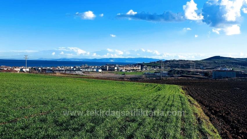 Kumbağa 1 Km Yakınlıkta Full Deniz Ve Doğa Manzaralı Al - Sat Yapmak İsteyenler İçin Fırsa