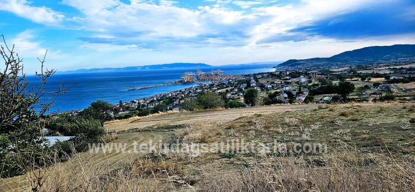 Süleymanpaşa Kumbağ Barbaros Mah. Satılık Arsa - Konut İmar Durumlu - 528 m²