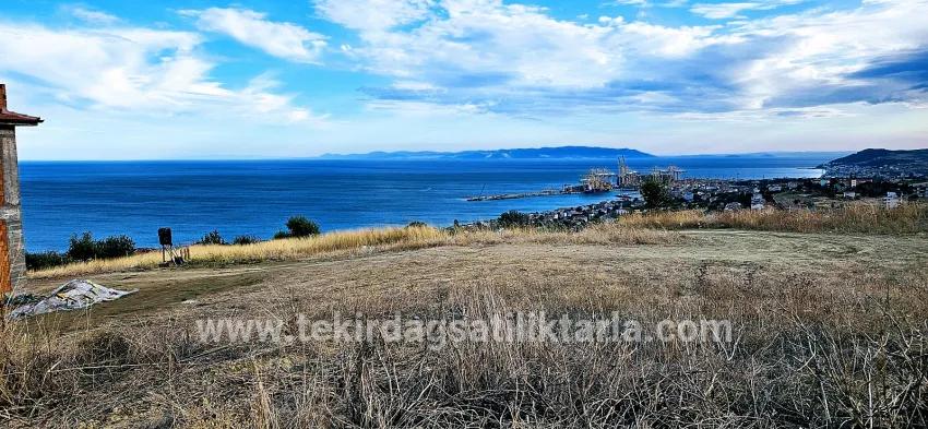 Süleymanpaşa Kumbağ Barbaros Mah. Satılık Arsa - Konut İmar Durumlu - 528 m²