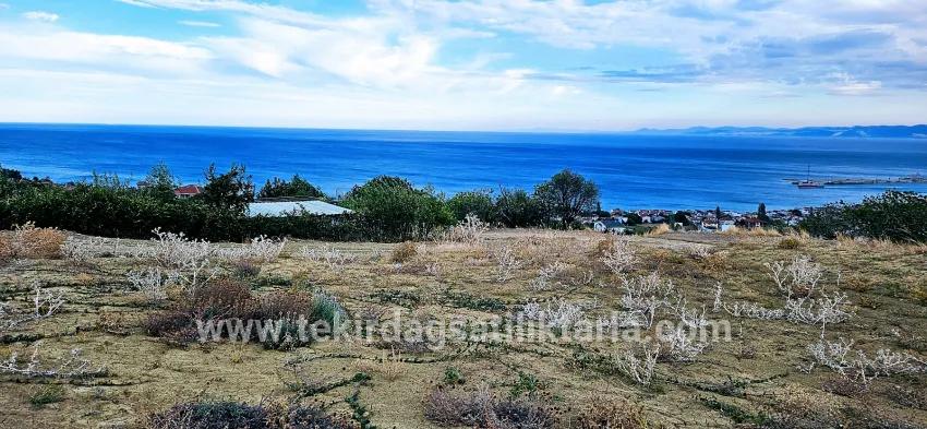 Süleymanpaşa Kumbağ Barbaros Mah. Satılık Arsa - Konut İmar Durumlu - 528 m²