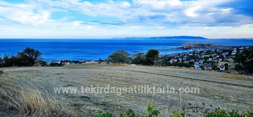 Süleymanpaşa Kumbağ Barbaros Mah. Satılık Arsa - Konut İmar Durumlu - 528 m²
