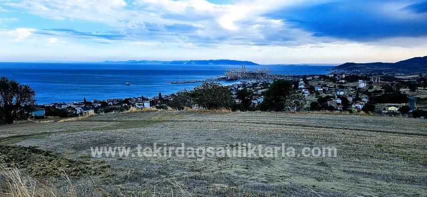 Süleymanpaşa Kumbağ Barbaros Mah. Satılık Arsa - Konut İmar Durumlu - 528 m²