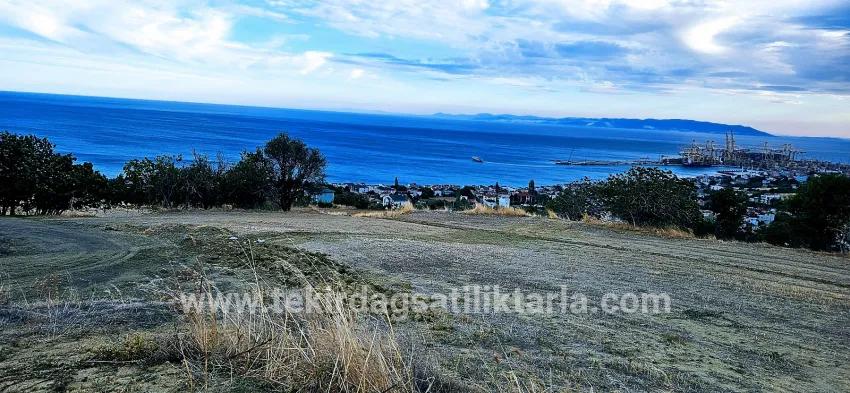 Süleymanpaşa Kumbağ Barbaros Mah. Satılık Arsa - Konut İmar Durumlu - 528 m²