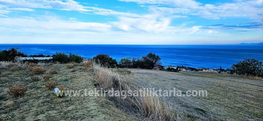Süleymanpaşa Kumbağ Barbaros Mah. Satılık Arsa - Konut İmar Durumlu - 528 m²