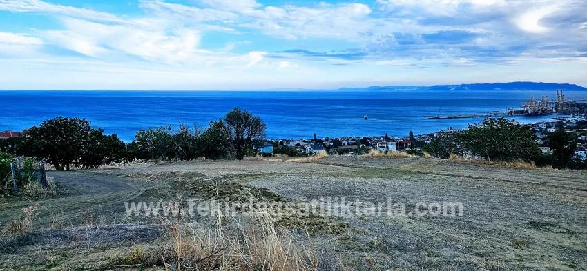 Süleymanpaşa Kumbağ Barbaros Mah. Satılık Arsa - Konut İmar Durumlu - 528 m²
