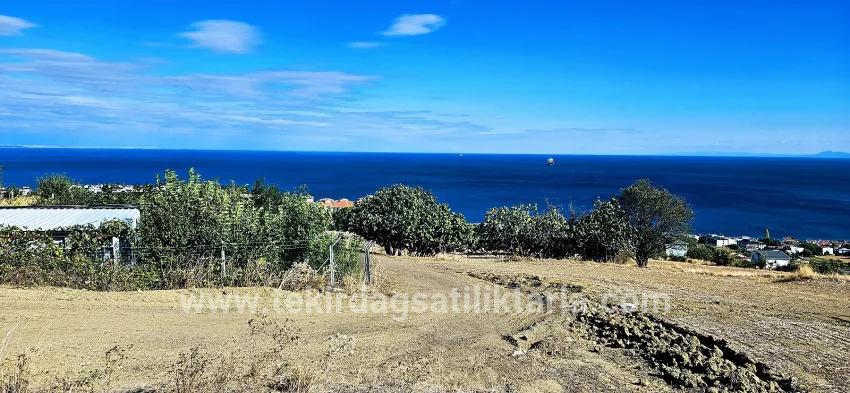 Süleymanpaşa Kumbağ Barbaros Mah. Satılık Arsa - Konut İmar Durumlu - 2.780 m²