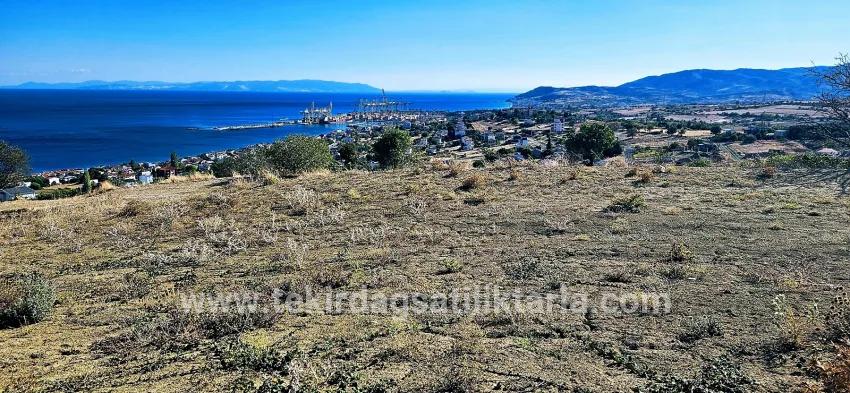 Süleymanpaşa Kumbağ Barbaros Mah. Satılık Arsa - Konut İmar Durumlu - 2.780 m²
