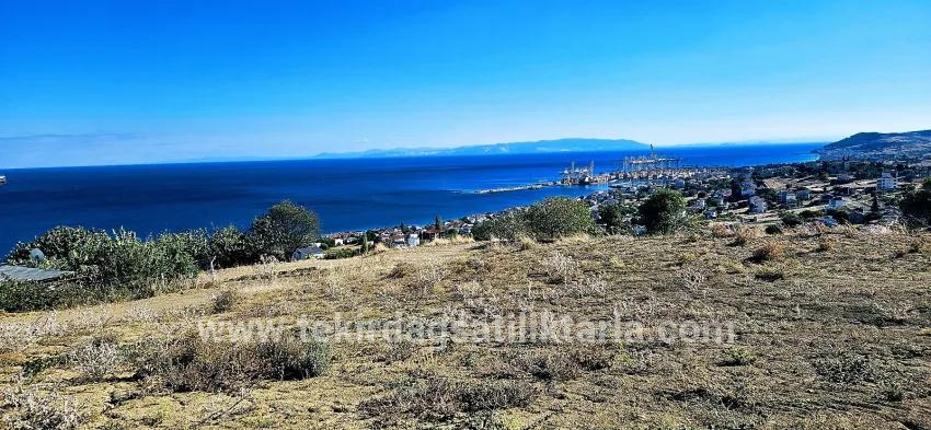 Süleymanpaşa Kumbağ Barbaros Mah. Satılık Arsa - Konut İmar Durumlu - 2.780 m²