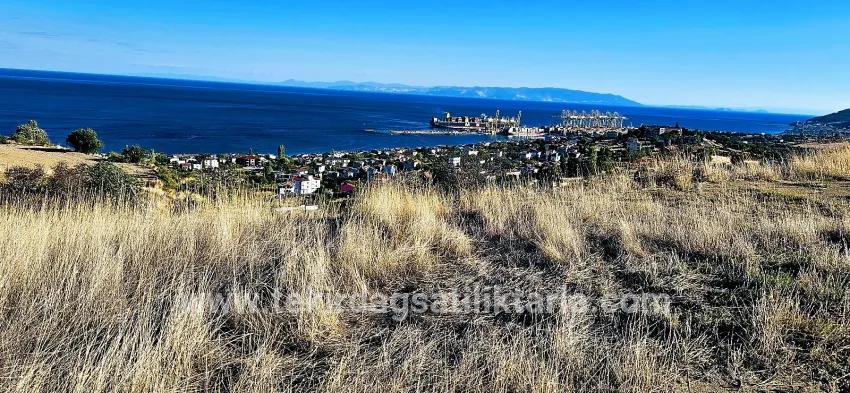 Süleymanpaşa Kumbağ Barbaros Mah. Satılık Arsa - Konut İmar Durumlu - 530 m²