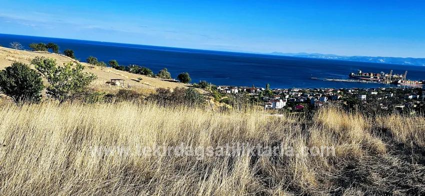 Süleymanpaşa Kumbağ Barbaros Mah. Satılık Arsa - Konut İmar Durumlu - 530 m²