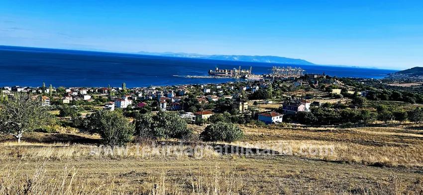 Süleymanpaşa Kumbağ Barbaros Mah. Satılık Arsa - Konut İmar Durumlu - 530 m²