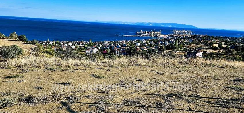 Süleymanpaşa Kumbağ Barbaros Mah. Satılık Arsa - Konut İmar Durumlu - 530 m²