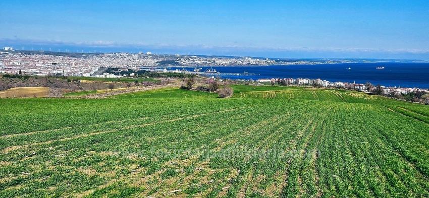 Tekirdağ Barbarosta 75 Adet Villa Projesine Uygun Full Deniz Ve Doğa Manzaralı Arazi