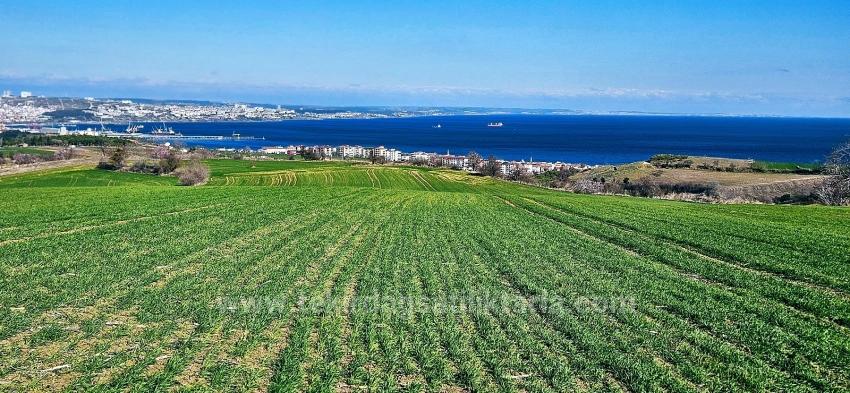 Tekirdağ Barbarosta 75 Adet Villa Projesine Uygun Full Deniz Ve Doğa Manzaralı Arazi