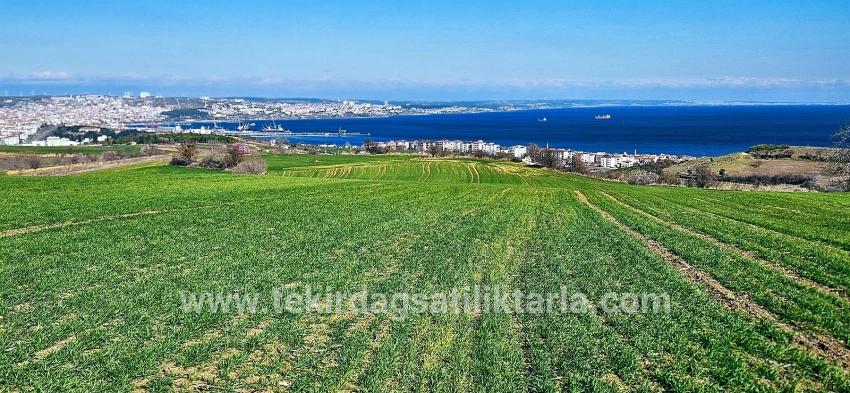 Süleymanpaşa Kumbağ Barbaros Mah. Satılık Arazi - Konut İmar Durumlu - 19.533 m²