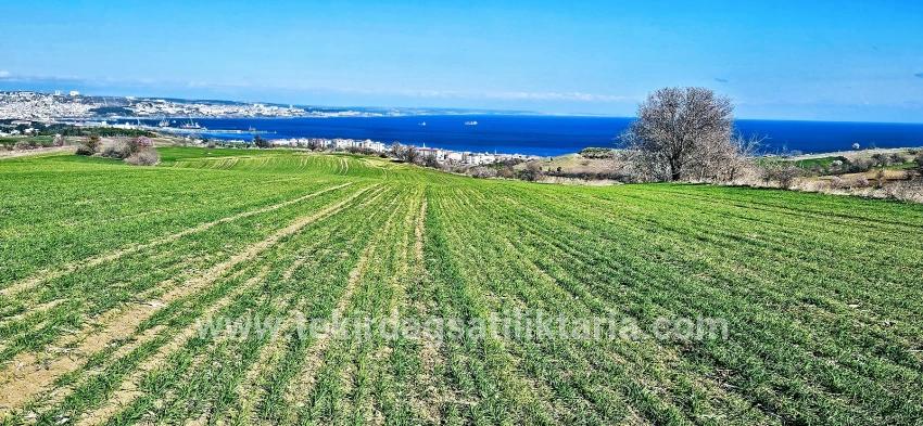Süleymanpaşa Kumbağ Barbaros Mah. Satılık Arazi - Konut İmar Durumlu - 19.533 m²
