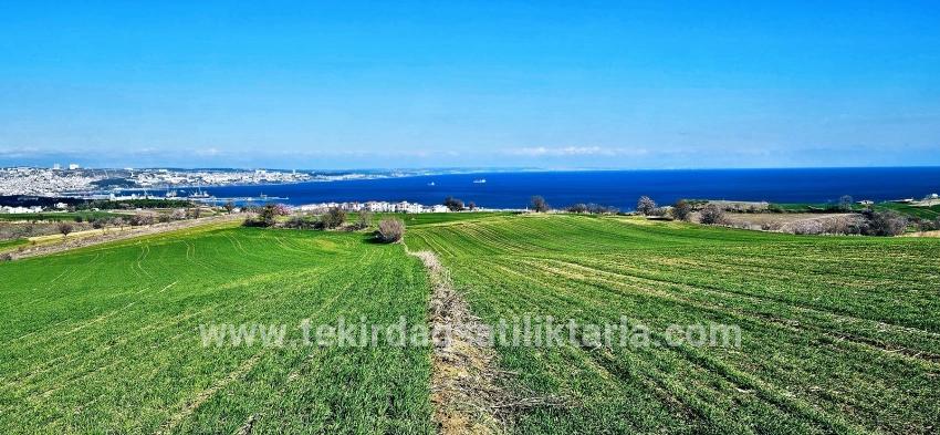 Süleymanpaşa Kumbağ Barbaros Mah. Satılık Arazi - Konut İmar Durumlu - 19.533 m²