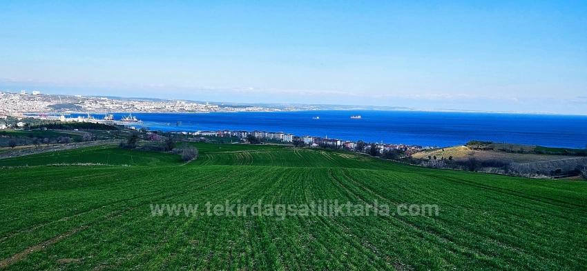 Tekirdağ Barbarosta 75 Adet Villa Projesine Uygun Full Deniz Ve Doğa Manzaralı Arazi