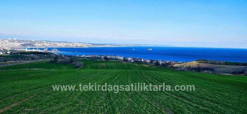 Süleymanpaşa Kumbağ Barbaros Mah. Satılık Arazi - Konut İmar Durumlu - 19.533 m²