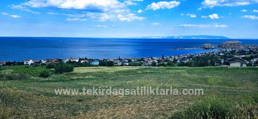 Süleymanpaşa Kumbağ Barbaros Mah. Satılık Arazi - Konut İmar Durumlu - 6.100 m²