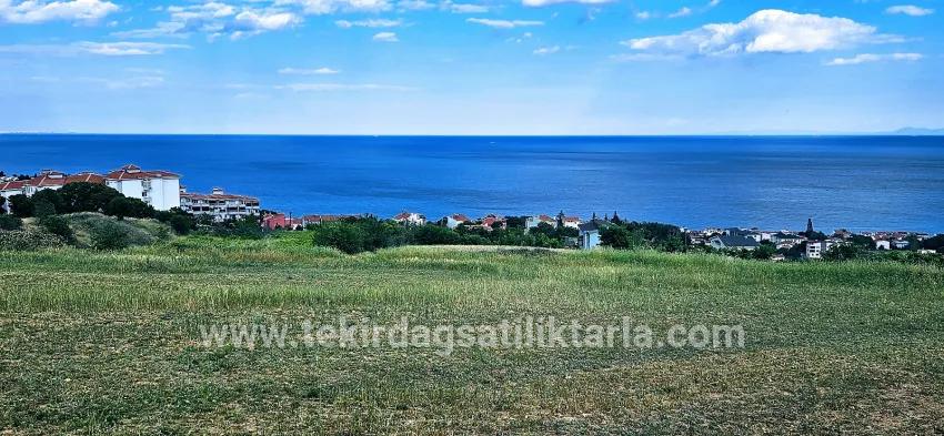 Süleymanpaşa Kumbağ Barbaros Mah. Satılık Arazi - Konut İmar Durumlu - 6.100 m²
