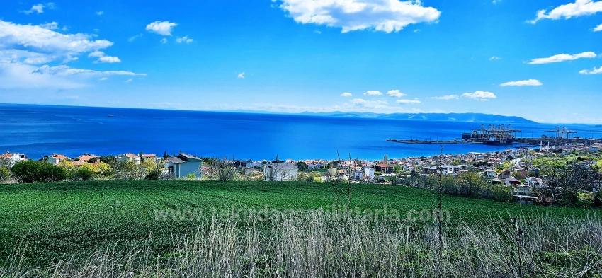 Süleymanpaşa Kumbağ Barbaros Mah. Satılık Arazi - Konut İmar Durumlu - 6.100 m²
