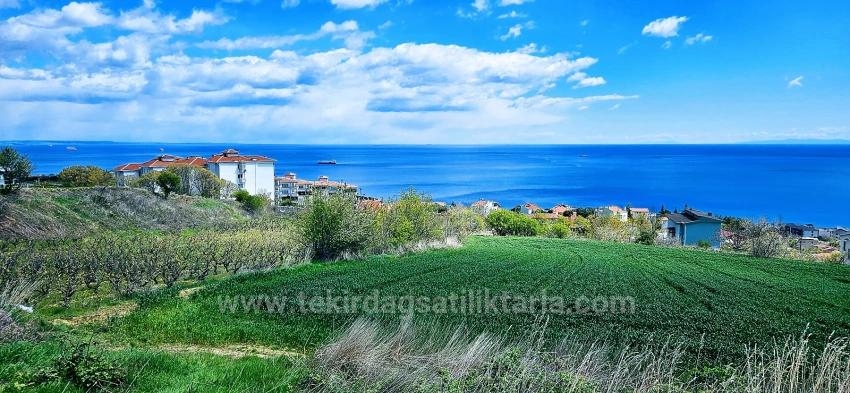 Eşsiz Full Deniz Ve Doğa Manzaralı 45 Adet 2+1 Siteve Kooparetif Projesine Uygun Arazi