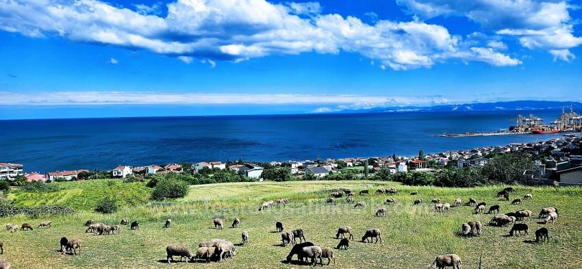 Eşsiz Full Deniz Ve Doğa Manzaralı 45 Adet 2+1 Siteve Kooparetif Projesine Uygun Arazi