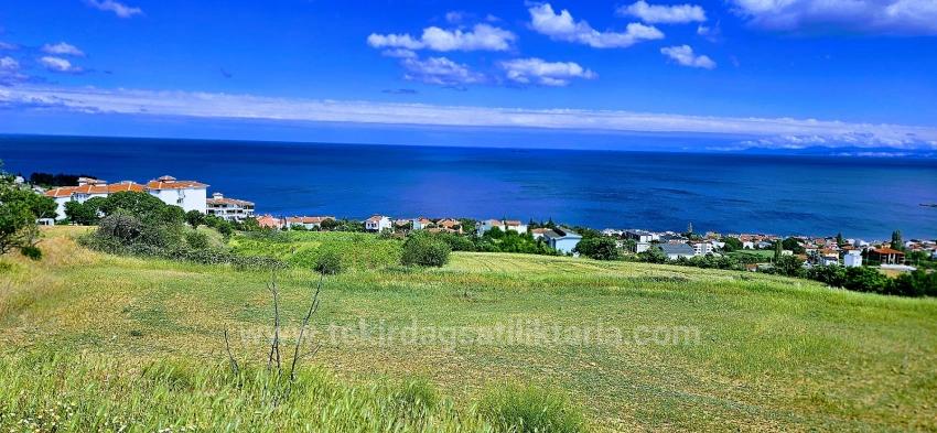 Eşsiz Full Deniz Ve Doğa Manzaralı 45 Adet 2+1 Siteve Kooparetif Projesine Uygun Arazi