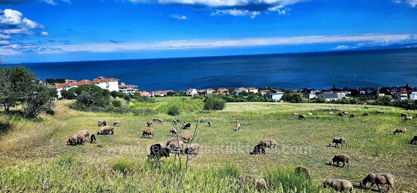Eşsiz Full Deniz Ve Doğa Manzaralı 15 Adet Lüxs Villa Projeye Uygun Yer
