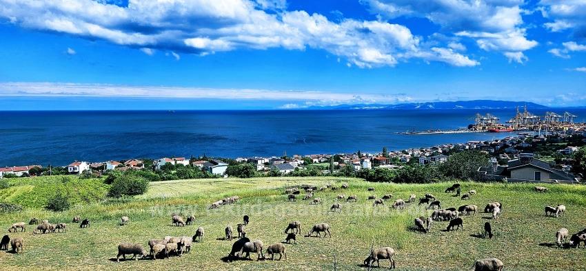 Eşsiz Full Deniz Ve Doğa Manzaralı 15 Adet Lüxs Villa Projeye Uygun Yer