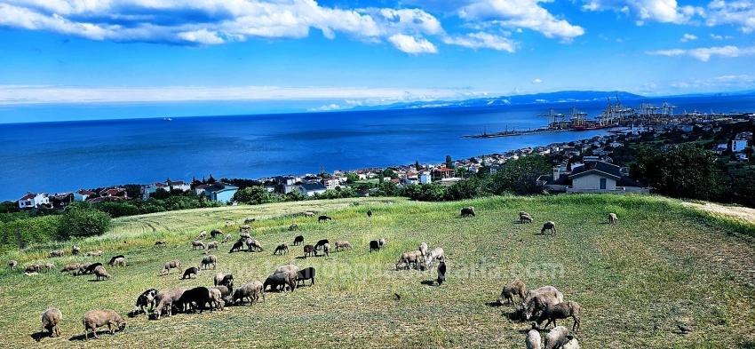 Eşsiz Full Deniz Ve Doğa Manzaralı 15 Adet Lüxs Villa Projeye Uygun Yer