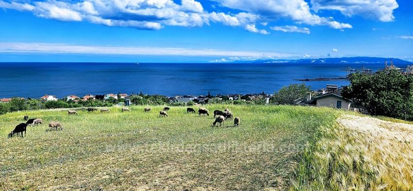 Eşsiz Full Deniz Ve Doğa Manzaralı 45 Adet 2+1 Siteve Kooparetif Projesine Uygun Arazi