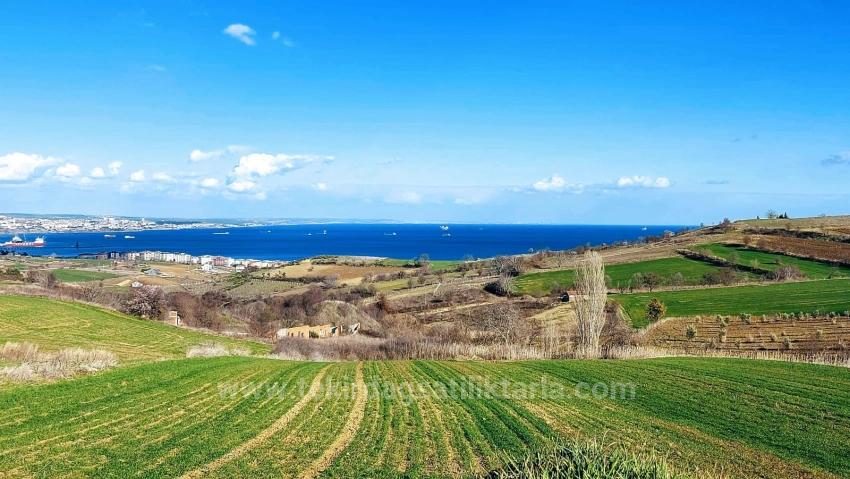 Tekirdağ Barbarosta Full Deniz Ve Doğa Manzaralı 8 Adet Villa Projesine Uygun Arazi