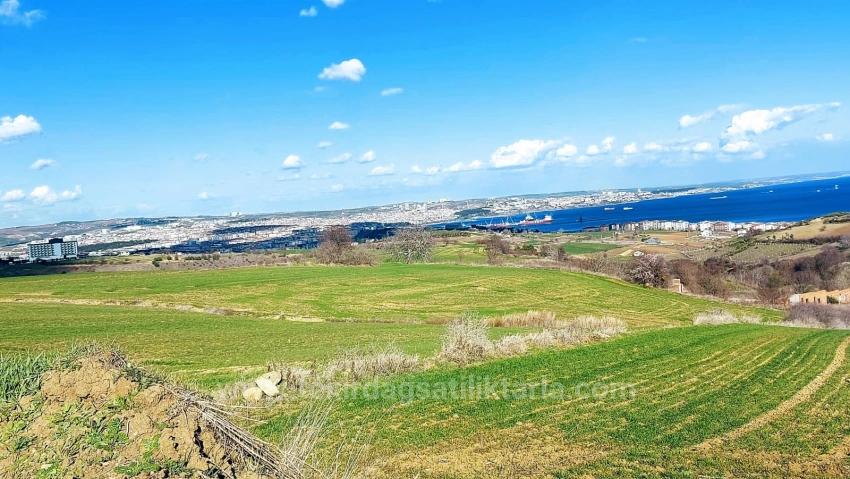 Tekirdağ Barbarosta Full Deniz Ve Doğa Manzaralı 8 Adet Villa Projesine Uygun Arazi