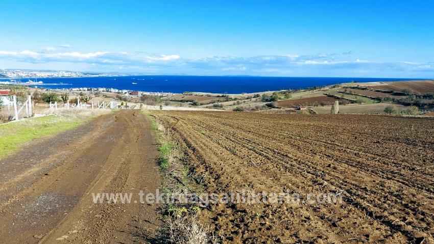 Süleymanpaşa Kumbağ Barbaros Mah. Satılık Arazi - Villa İmar Durumlu - 6.350 m²