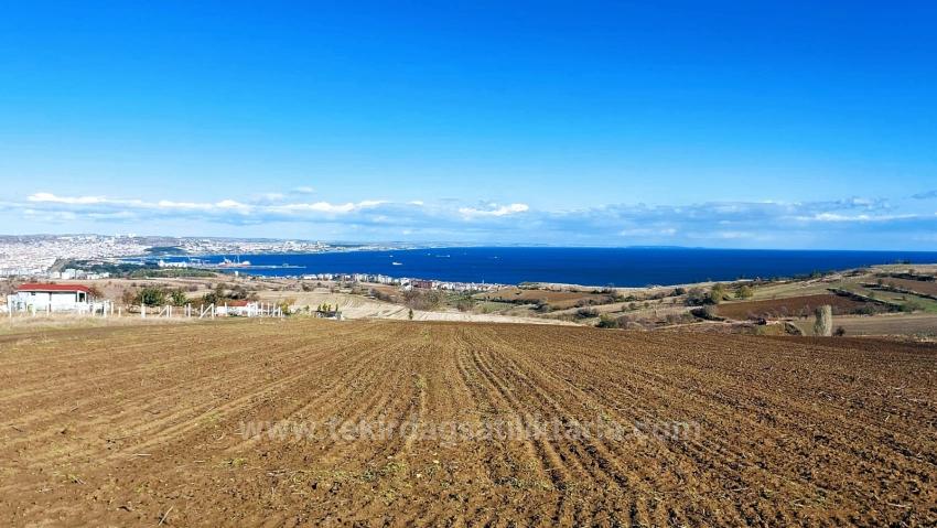 Süleymanpaşa Kumbağ Barbaros Mah. Satılık Arazi - Villa İmar Durumlu - 6.350 m²