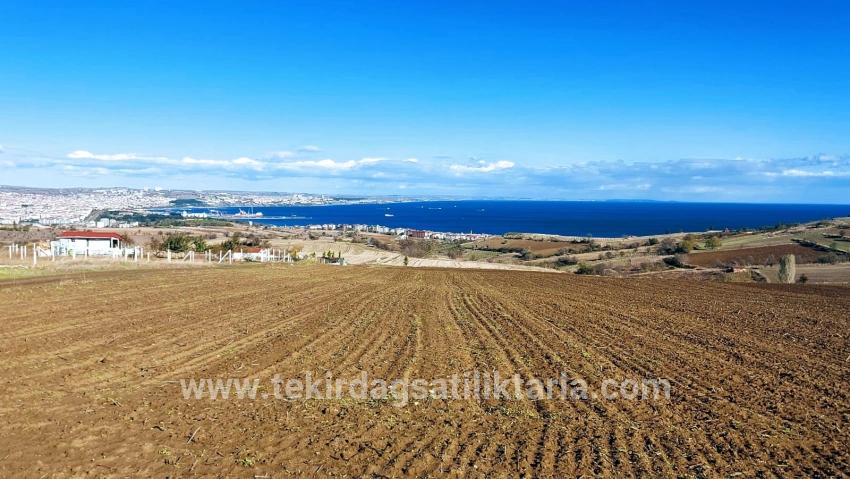 Süleymanpaşa Kumbağ Barbaros Mah. Satılık Arazi - Villa İmar Durumlu - 6.350 m²