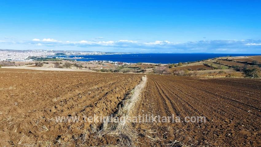 Süleymanpaşa Kumbağ Barbaros Mah. Satılık Arazi - Villa İmar Durumlu - 6.350 m²