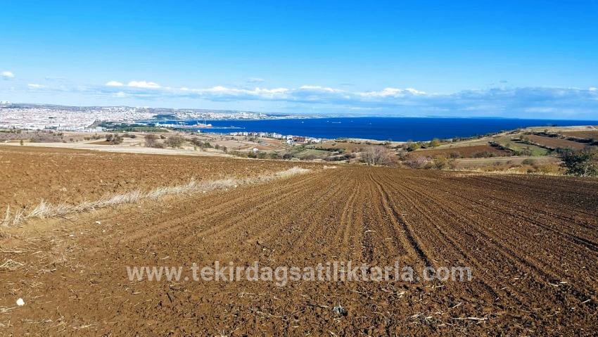 Süleymanpaşa Kumbağ Barbaros Mah. Satılık Arazi - Villa İmar Durumlu - 6.350 m²