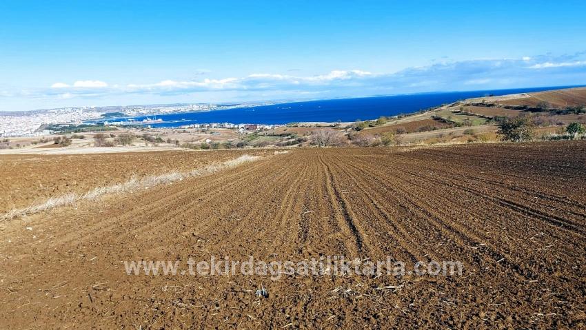 Süleymanpaşa Kumbağ Barbaros Mah. Satılık Arazi - Villa İmar Durumlu - 6.350 m²