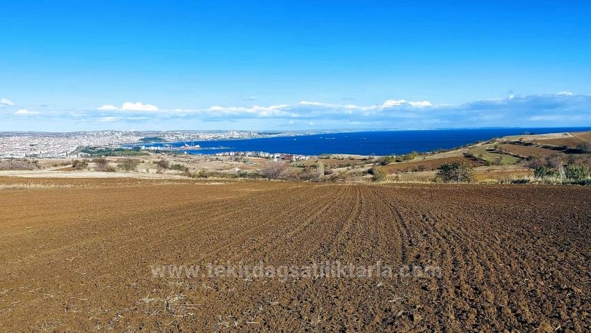 Muhteşem Deniz Ve Doğa Manzaralı 12 Adet Villa Projesine Uygun Acil Satılık Arazi