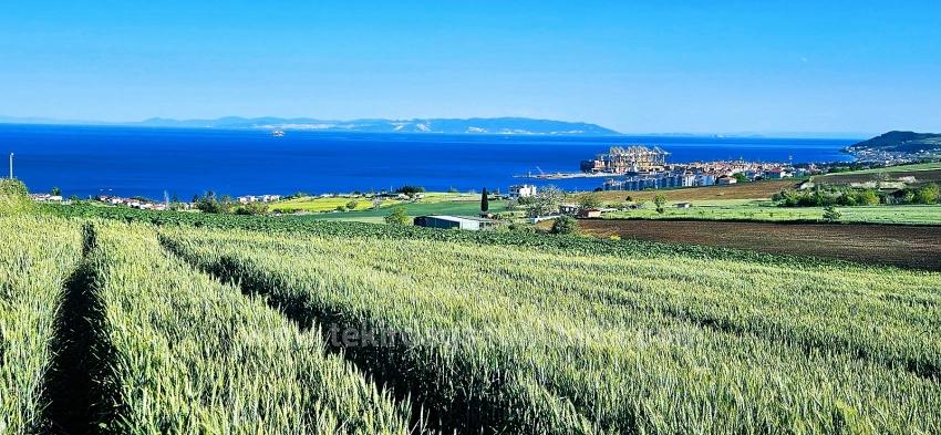 50 Dairelik Full Deniz Ve Doğa Manzaralı Kooparetif Ve Site Porojesine Uygun Arazi