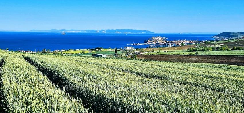 50 Dairelik Full Deniz Ve Doğa Manzaralı Kooparetif Ve Site Porojesine Uygun Arazi