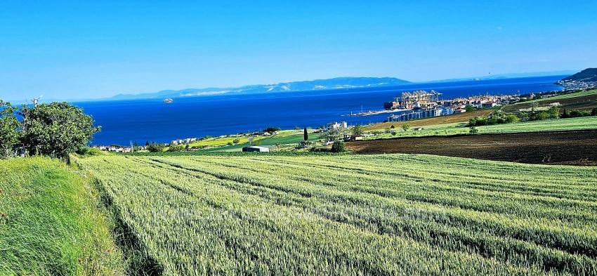 50 Dairelik Full Deniz Ve Doğa Manzaralı Kooparetif Ve Site Porojesine Uygun Arazi