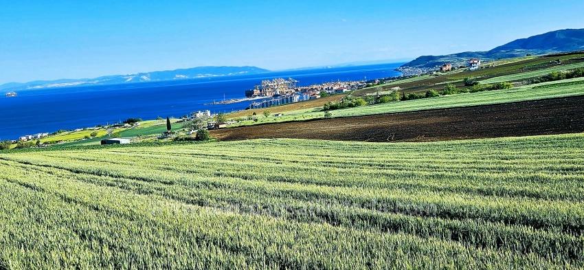 50 Dairelik Full Deniz Ve Doğa Manzaralı Kooparetif Ve Site Porojesine Uygun Arazi